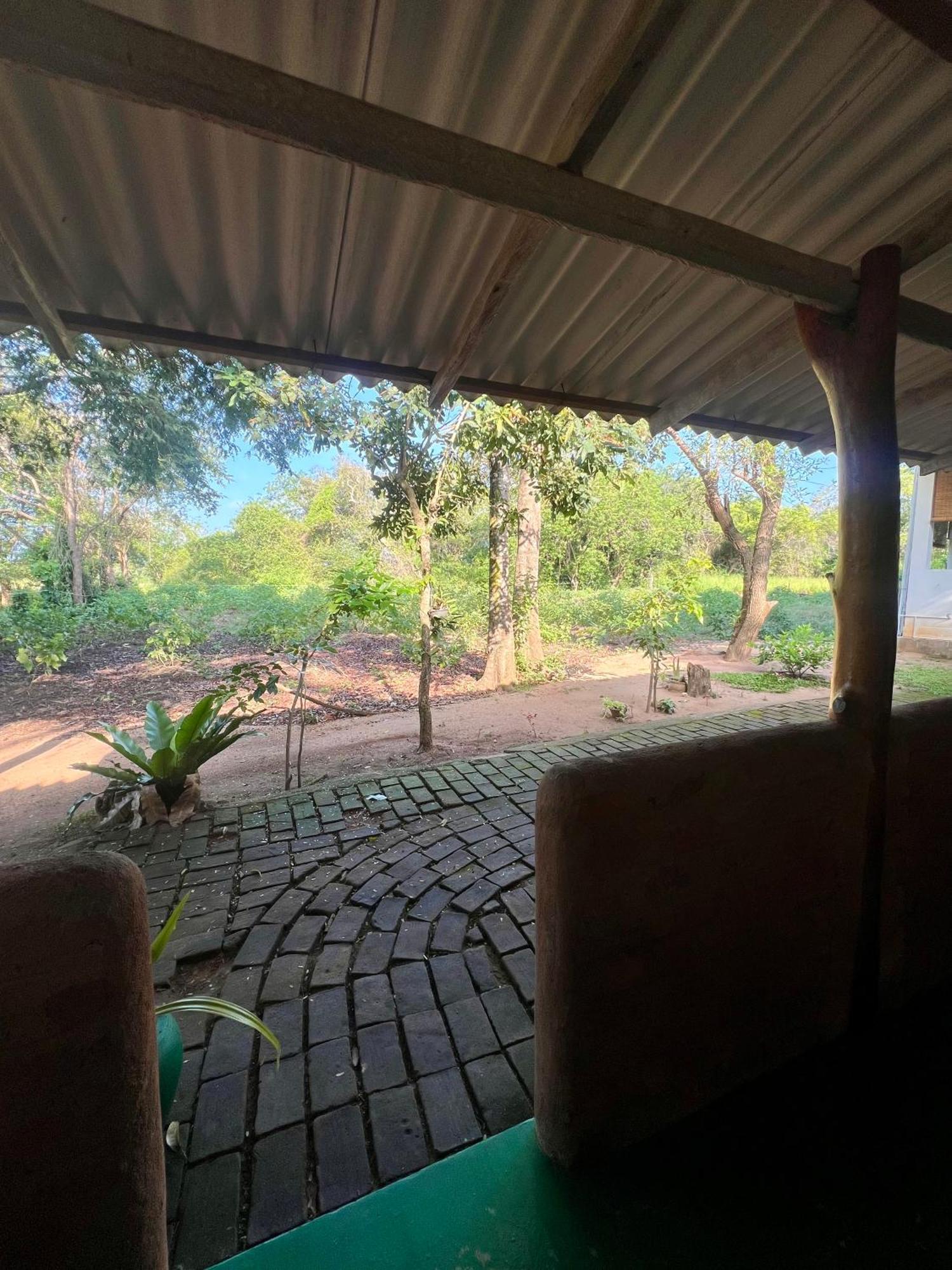Tembo Cottage Wilpattu Kültér fotó